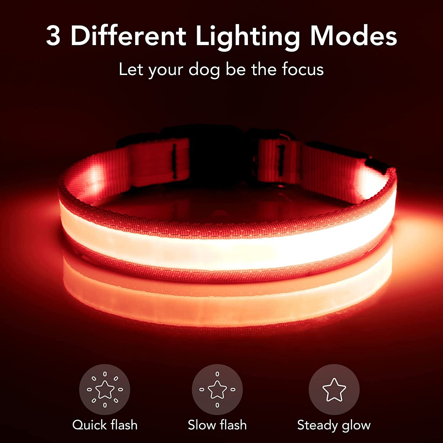 Super Bright LED USB Rechargeable Dog Collar