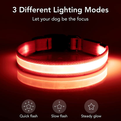 Super Bright LED USB Rechargeable Dog Collar