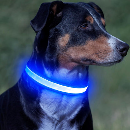 Super Bright LED USB Rechargeable Dog Collar